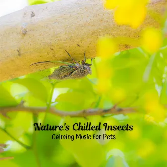 Nature's Chilled Insects: Calming Music for Pets by Nature Sounds Collabo