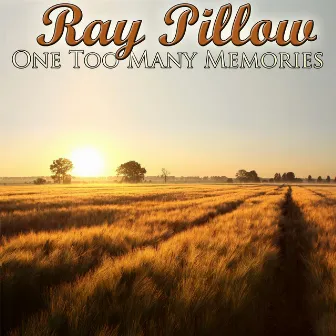 One Too Many Memories by Ray Pillow