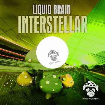 Interstellar by Liquid Brain