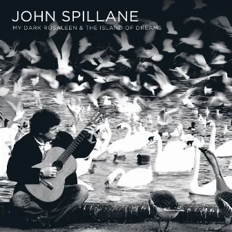 My Dark Rosaleen And The Island Of Dreams by John Spillane