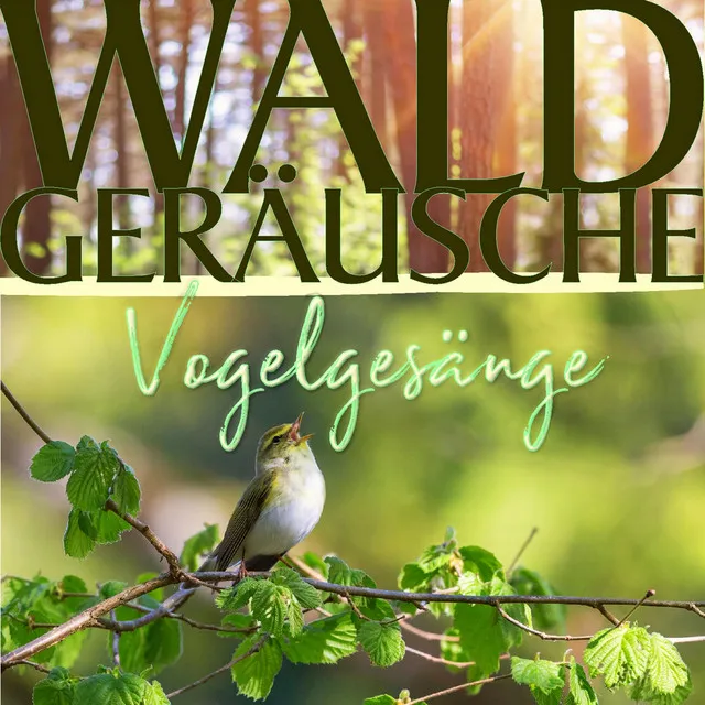 Vogelgezwitscher