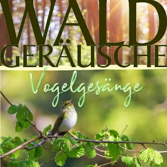 Vogelgesänge by Waldgeräusche