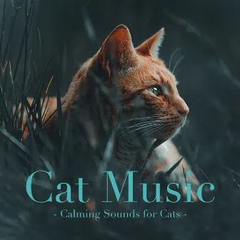 Cat Music: Calming Sounds for Cats by Cat Music Therapy