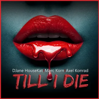 Till I Die (Radio Version) by Axel Konrad