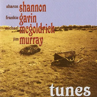 Tunes by Sharon Shannon