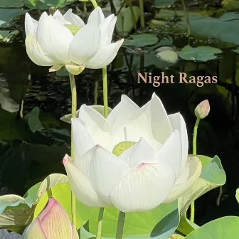 Night Ragas by Chintan Katti