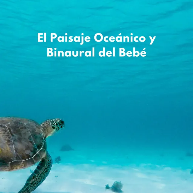 El Paisaje Oceánico Y Binaural Del Bebé