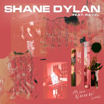 As You Wanna Be! (Live) by Shane Dylan