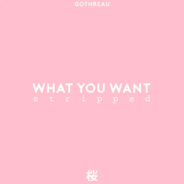 What You Want - Stripped