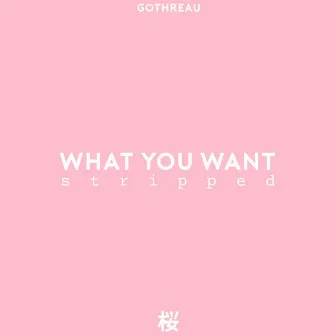 What You Want (Stripped) by Gothreau