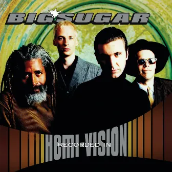 Diggin' A Hole (Acoustic Version) by Big Sugar