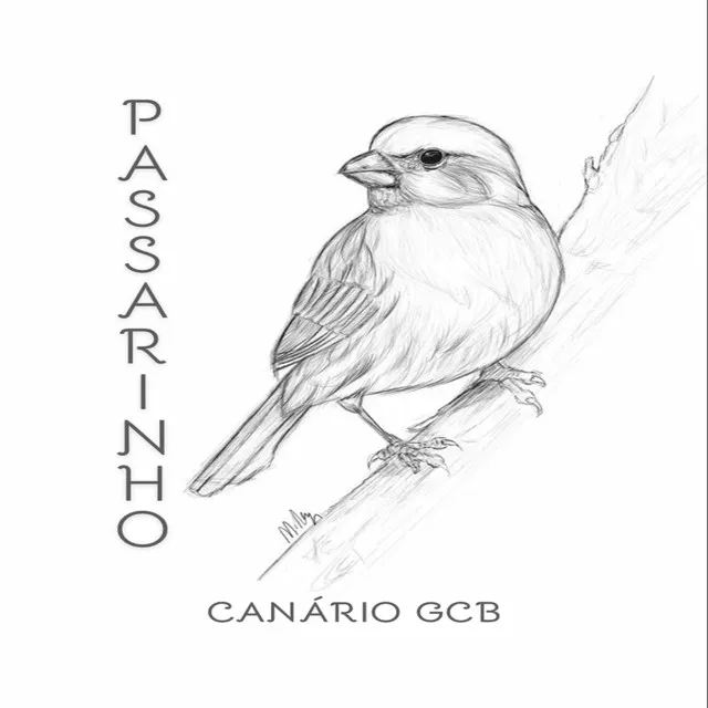 Passarinho - Canário Gcb