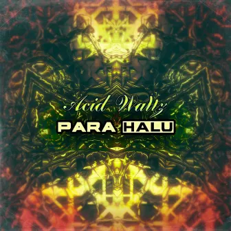 Acid Waltz by Para Halu