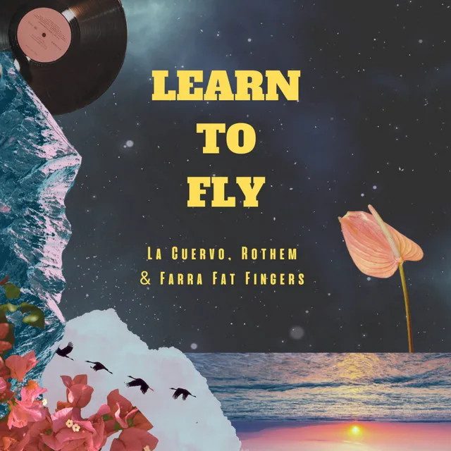 Learn To Fly