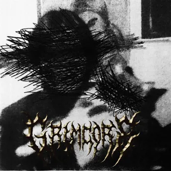 GRIMGOD by grimcore