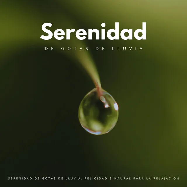 Serenidad De Gotas De Lluvia: Felicidad Binaural Para La Relajación