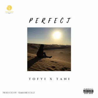 Perfect by Tofyi