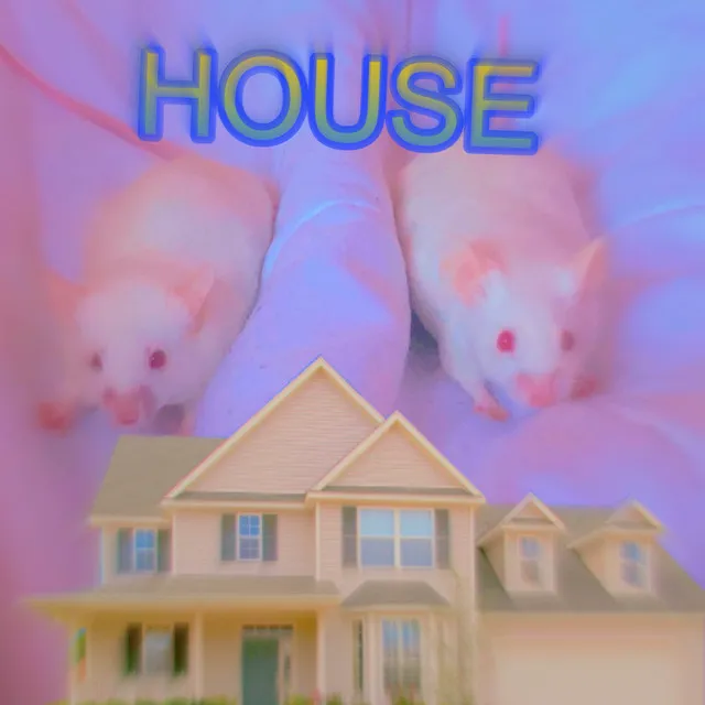 HOUSE!