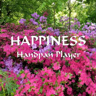 Happiness by Handpan Player