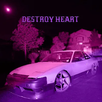 DESTROY HEART by QWERRXR