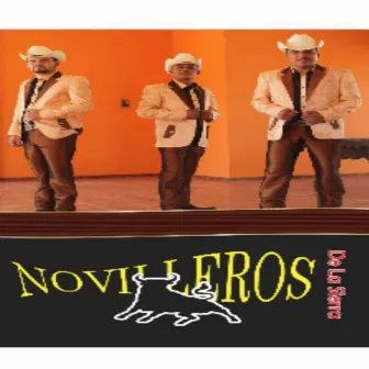 Parrandero y Mujeriego by Novilleros de la Sierra