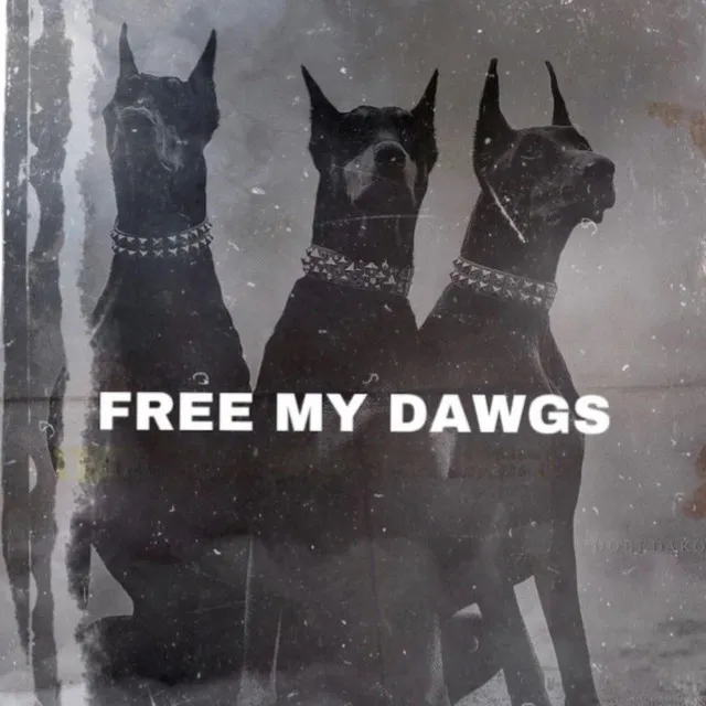 Free My Dawgs