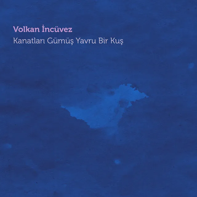 Kanatları Gümüş Yavru Bir Kuş (Canlı Akustik)