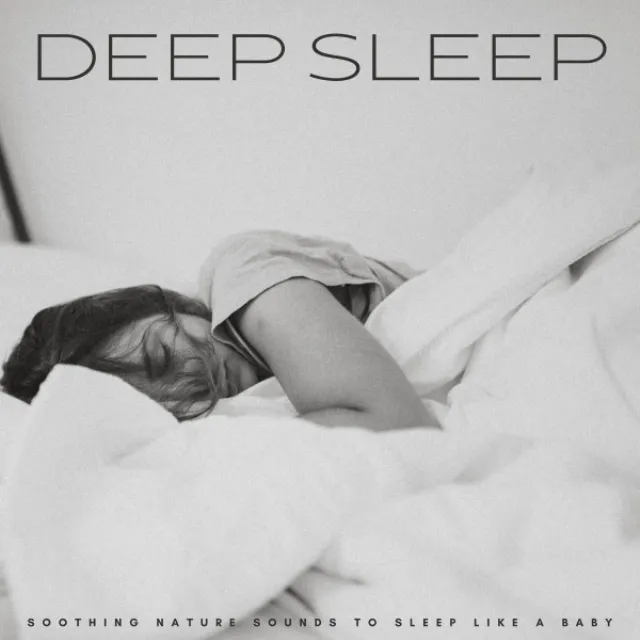 Deep Sleep: Soothing Nature Sounds To Sleep Like A Baby