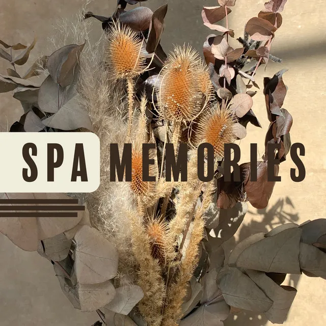 Spa Memories - Relaxing Therapy for Body and Soul