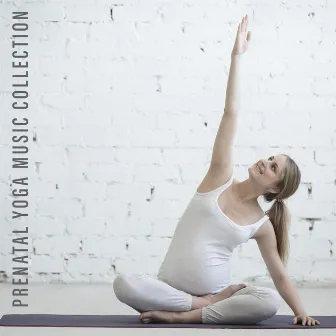 Prenatal Yoga Music Collection - Mesmerizing Sounds of Nature and More for Women in Advanced Pregnancy, Physical Change, Stretching and Breathing Exercises, Easier Labor, Calm Mommy and Baby by Harmony Nature Sounds Academy