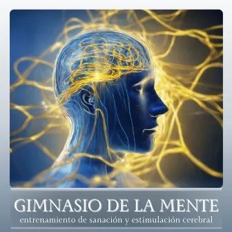 Gimnasio de la Mente - Música Relajante Mindfulness para Entrenamiento de Sanación y Estimulación Cerebral by Salud Mental