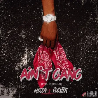 Ain't Gang by Mecca