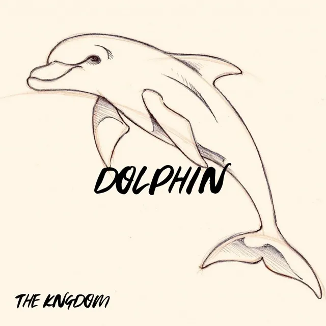 Dolphin