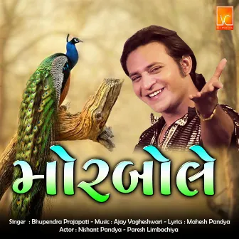 Mor Bole by Bhupendra Prajapati