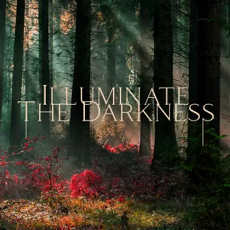 Illuminate The Darkness: Meditative Ambient Music to Fight Anxiety & Stress, Face Your Fears, and Emerge with a New Sense of Yourself by Mary Woodland