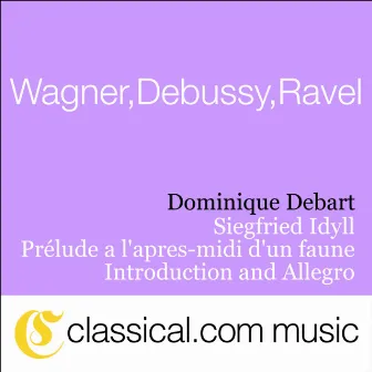 Richard Wagner, Siegfried Idyll by Dominique Debart