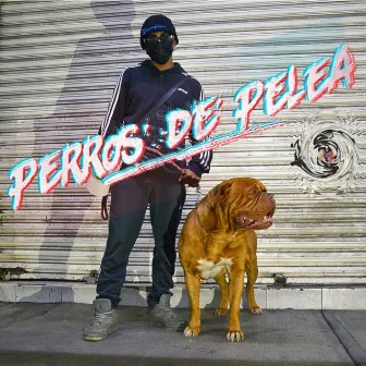 Perros de Pelea by Bugyn Storm