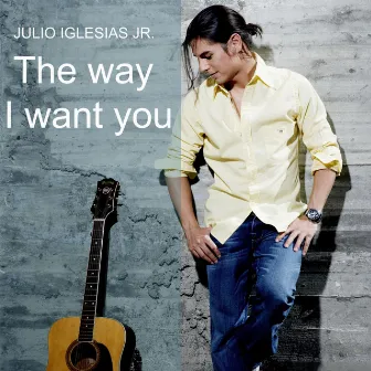 The Way I Want You by Julio Iglesias Jr