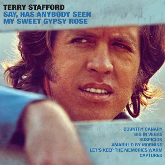 Has Anybody Seen My Sweet Gypsy Rose by Terry Stafford