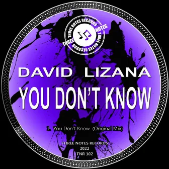 You Don't Know by David Lizana