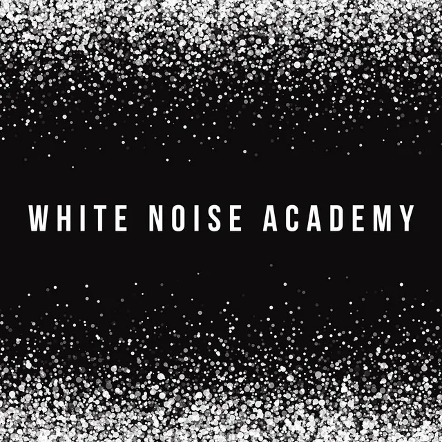 White Noise Academy