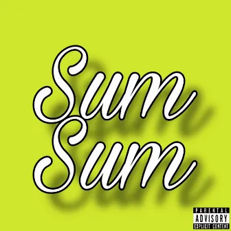 Sum Sum by R.O.B