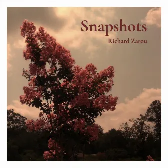 Snapshots by Richard Zarou