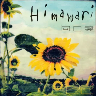 向日葵-Himawari- by PE'Z