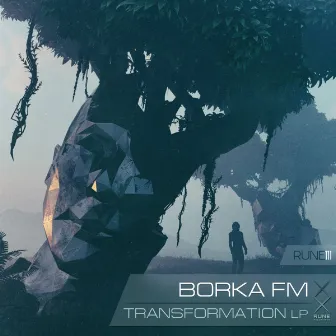 Transformation LP by BORKA FM