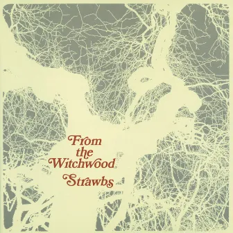 From The Witchwood by Strawbs