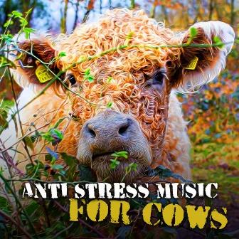 Anti Stress Music for Cows – Relaxing Music Therapy, Piano Reduces Stress, Inner Peace, Happy Animal by Academia de Música para Animais