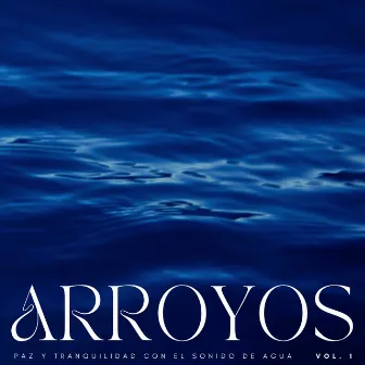 Arroyos: Paz Y Tranquilidad Con El Sonido De Agua Vol. 1 by Aspiradoras de sueño profundo