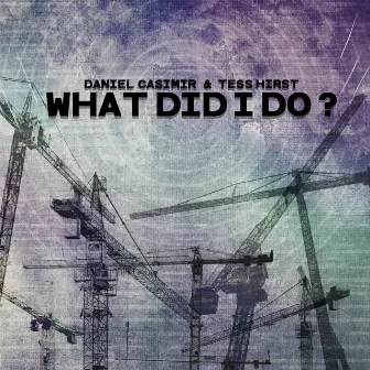 What Did I Do? by Daniel Casimir