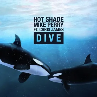 Dive by Hot Shade